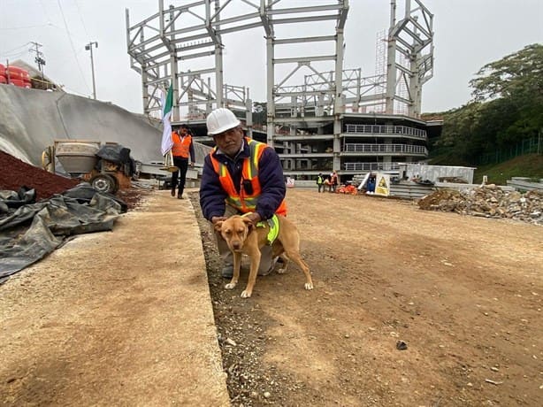 Karely: perrita rescatada que hoy vigila obras de El Nido del Halcón (+ Video)