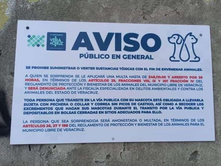 Intentan evitar envenenamiento de mascotas en el puerto de Veracruz