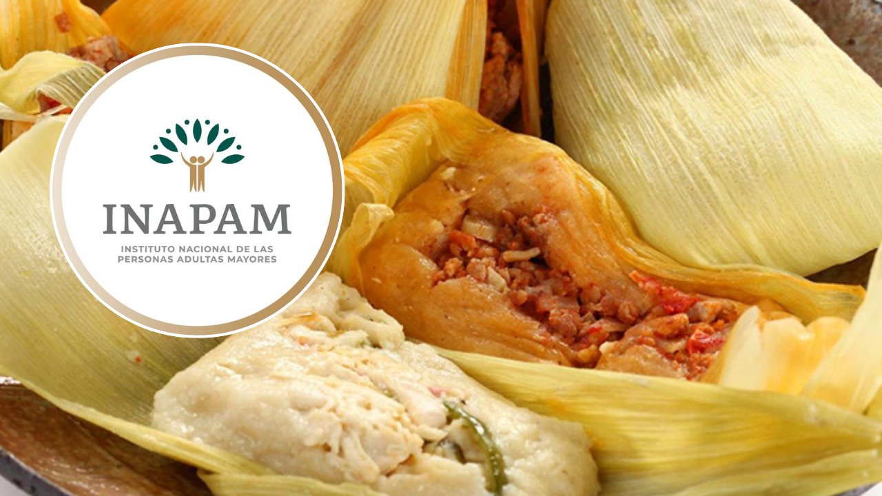 INAPAM: esta es el único local de tamales con descuento para el Día de la Candelaria
