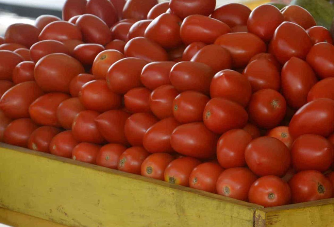 Este es el precio del kilo de tomate a finales de enero 2024