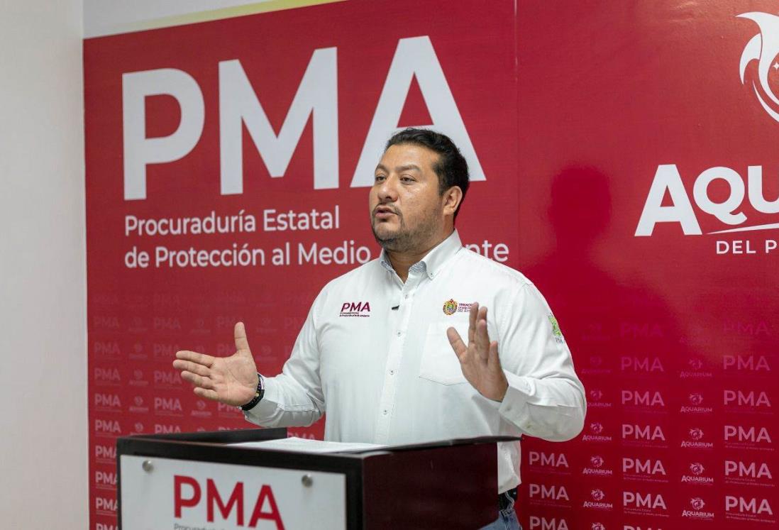 PMA dará Certificados Verdes a empresas de Veracruz que cuiden el ambiente