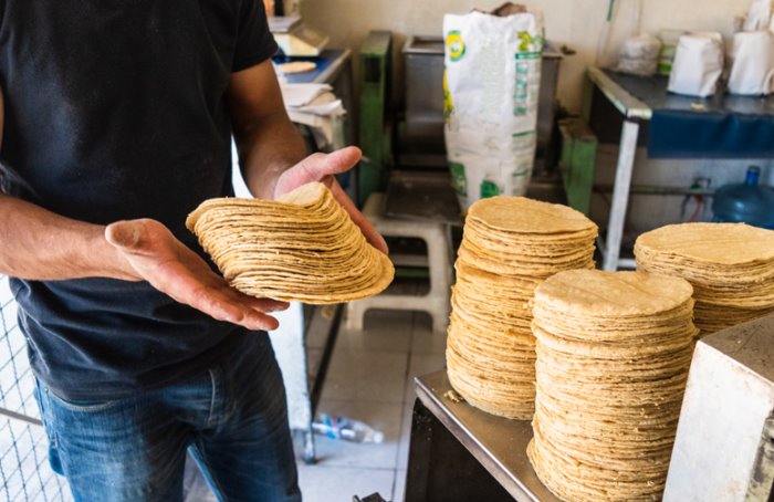 ¿Aumentará el precio de la tortilla en Veracruz a partir de este 1 de febrero? Esto sabemos