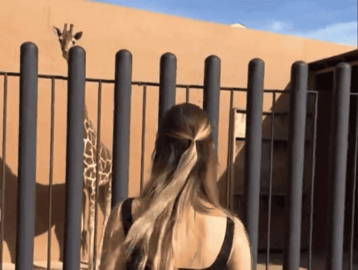 Nirvana Hank: ¿quién es la mujer que se hizo viral por presumir una jirafa como mascota?