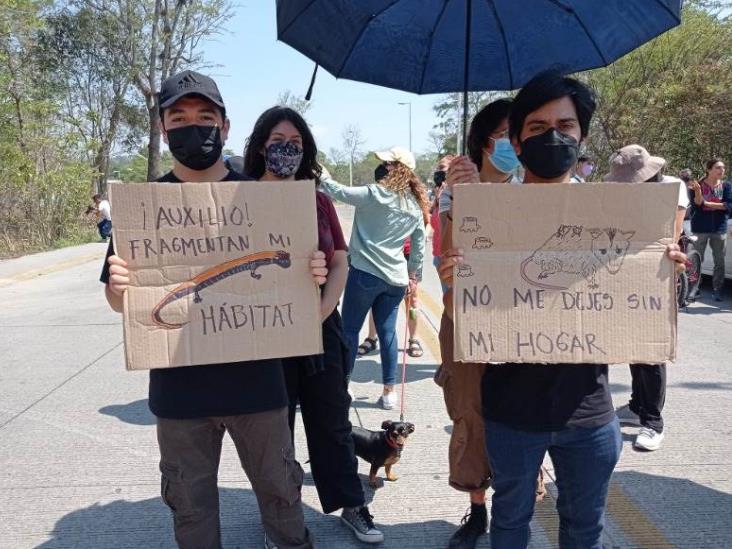 Controversia ambiental en Xalapa: activistas reiteran rechazo a Plaza Imperial