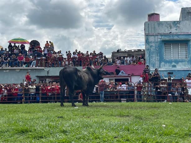 Sueltan los toros por las fiestas de la Candelaria en Tlacotalpan | FOTOS