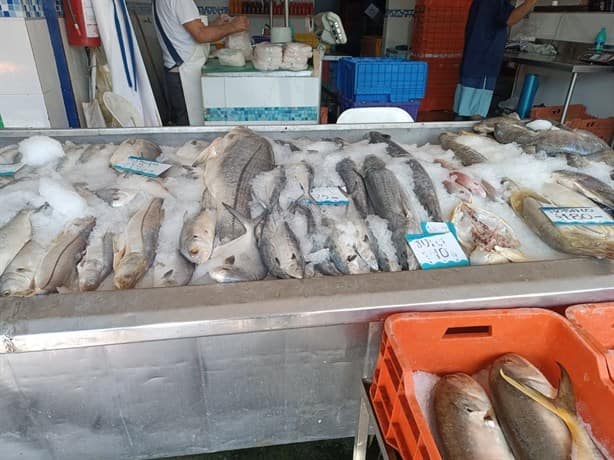 ¿De antojo? Así están los precios de pescados y mariscos en Veracruz