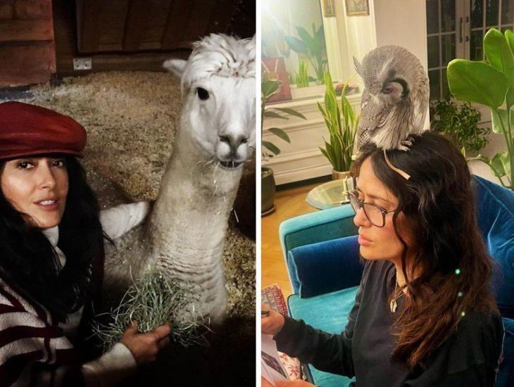Salma Hayek muestra sus exóticas mascotas y las redes sociales enloquecen