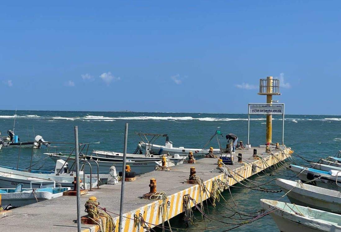 Aumentará la pesca en costas de Veracruz durante Semana Santa