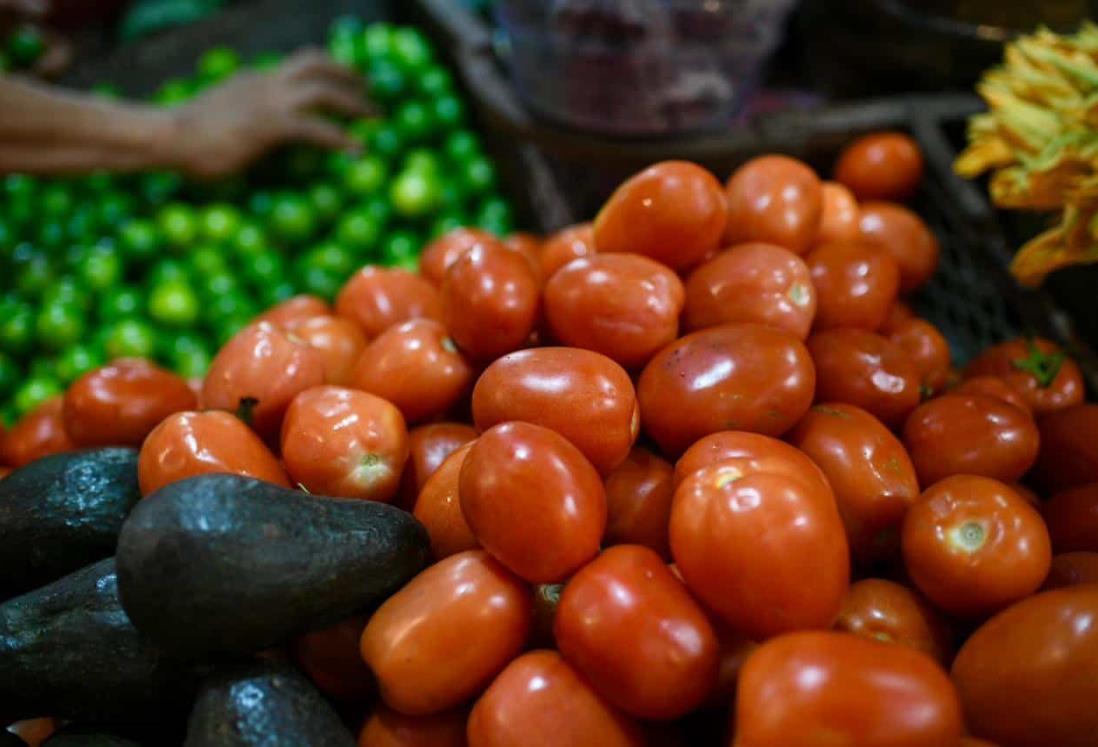 Bajó el precio del tomate en mercados de Veracruz; pasó de 60 a 30 pesos