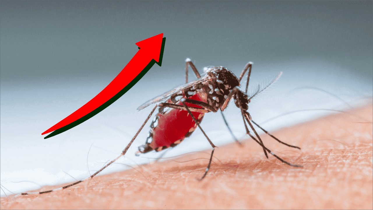 La dramática comparación sobre casos de dengue en Veracruz respecto a 2023