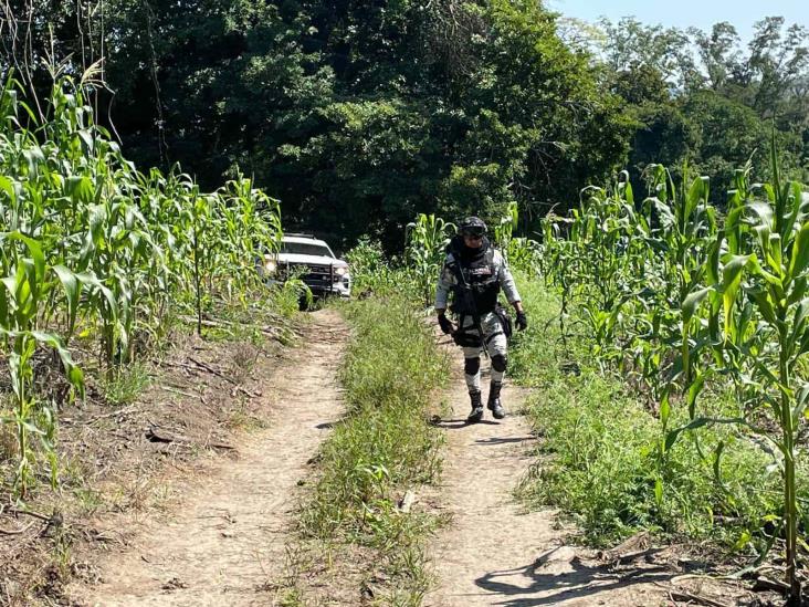 Confirma FGE Veracruz hallazgo de un cuerpo en predio de Tihuatlán