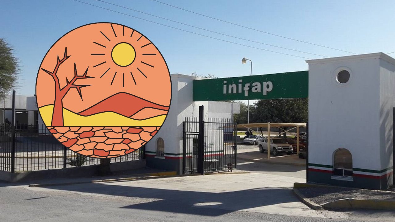 Sequía afectará el 50 por ciento de cultivos en Veracruz: INIFAP