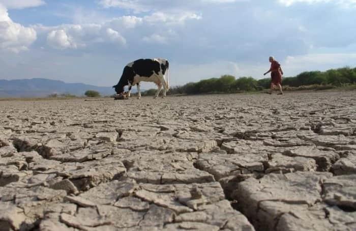 ¿Cuáles son los municipios de Veracruz con sequía extrema?