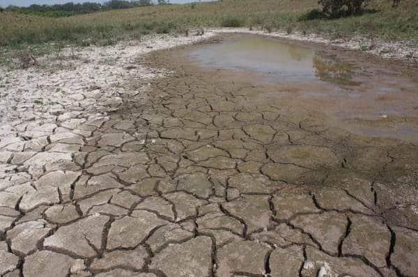 Estos son los estados más afectados por escasez de agua en presas; ¿y Veracruz?