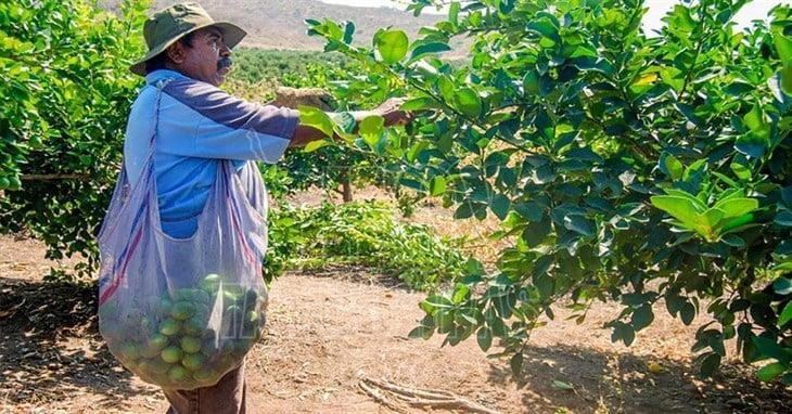 Misantla se prepara para enfrentar escasez de agua en la temporada agrícola