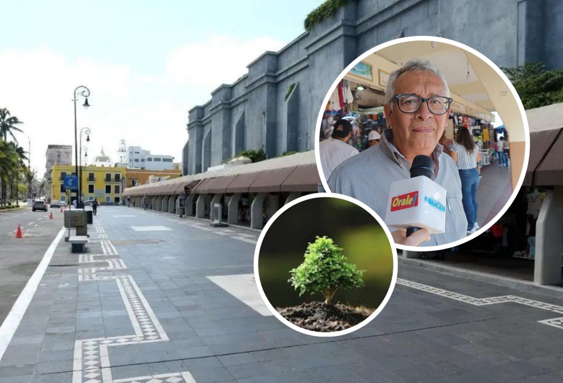 Ayuntamiento frena proyecto ciudadano para sembrar árboles en centro histórico de Veracruz