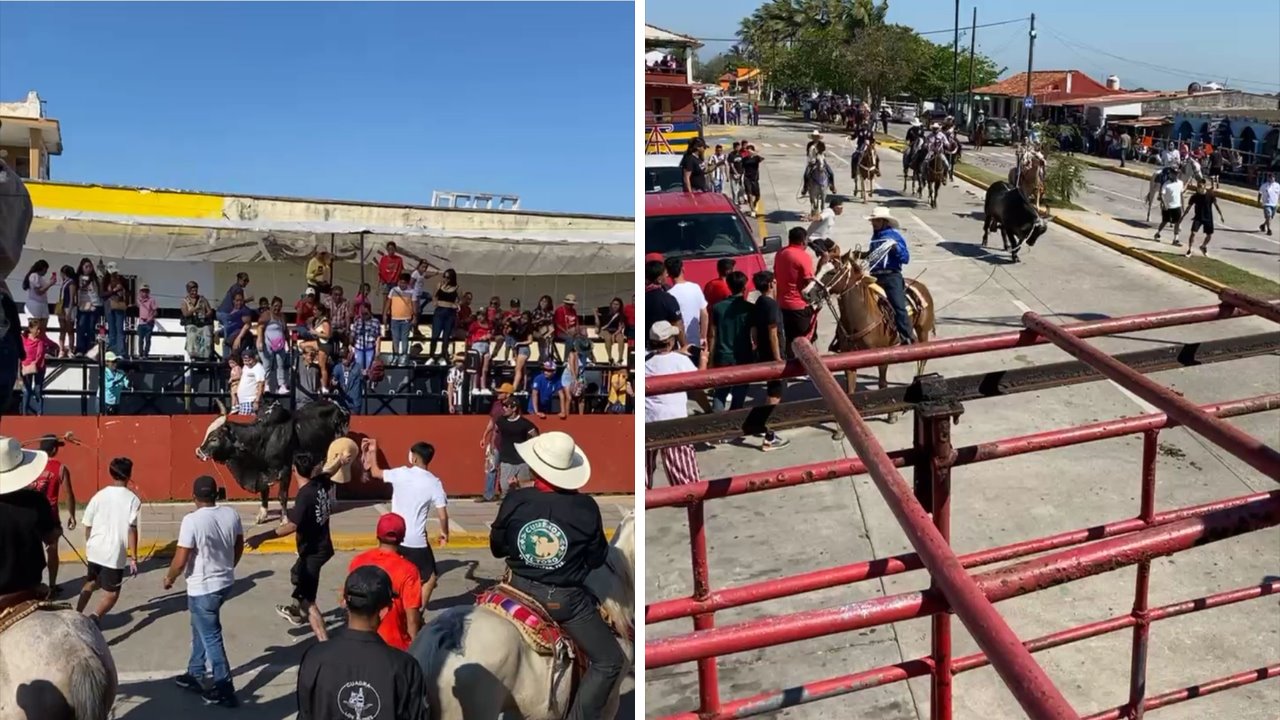 Candelaria 2024: segunda suelta de toros en Tlacotalpan concluye con saldo blanco