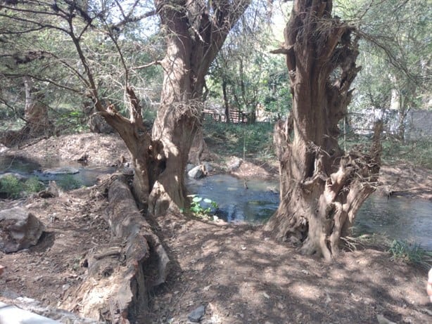 Ecoparque Ciudad Ahuehuetes, en Mendoza, estará listo en seis meses