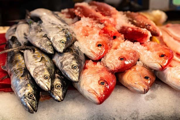 ¿Sabes cuáles son los estados con mayor producción pesquera en el país?
