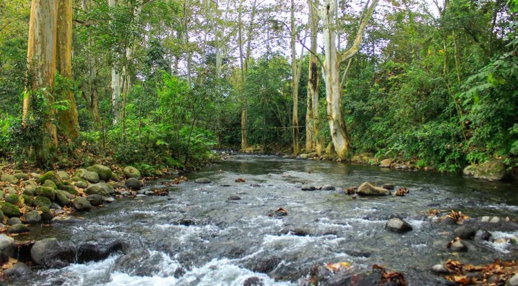 CANACO pide obra que permite garantizar el agua en Veracruz
