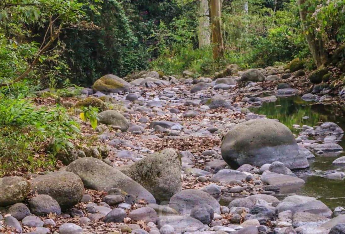 ¿Sabes qué ríos están siendo afectados por la sequía en Veracruz? Te decimos
