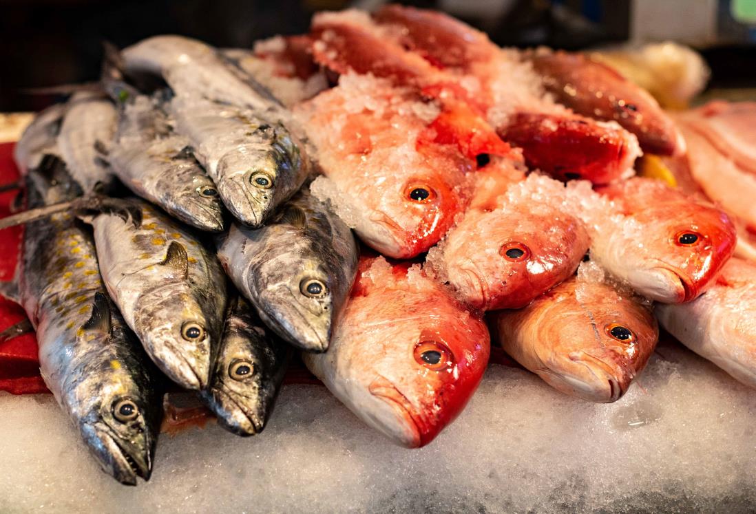 Estos son los pescados y mariscos que puedes consumir en Cuaresma, según Profeco
