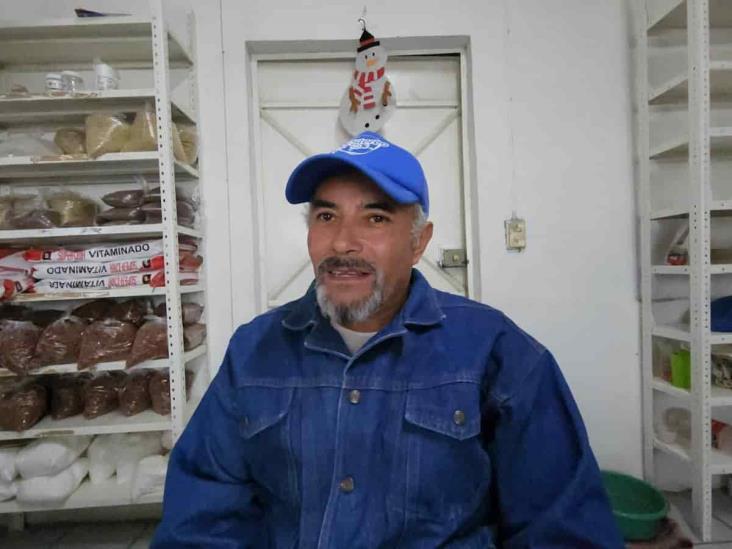 Productores de Orizaba temen enfermedades en ganado por temporada de lluvias