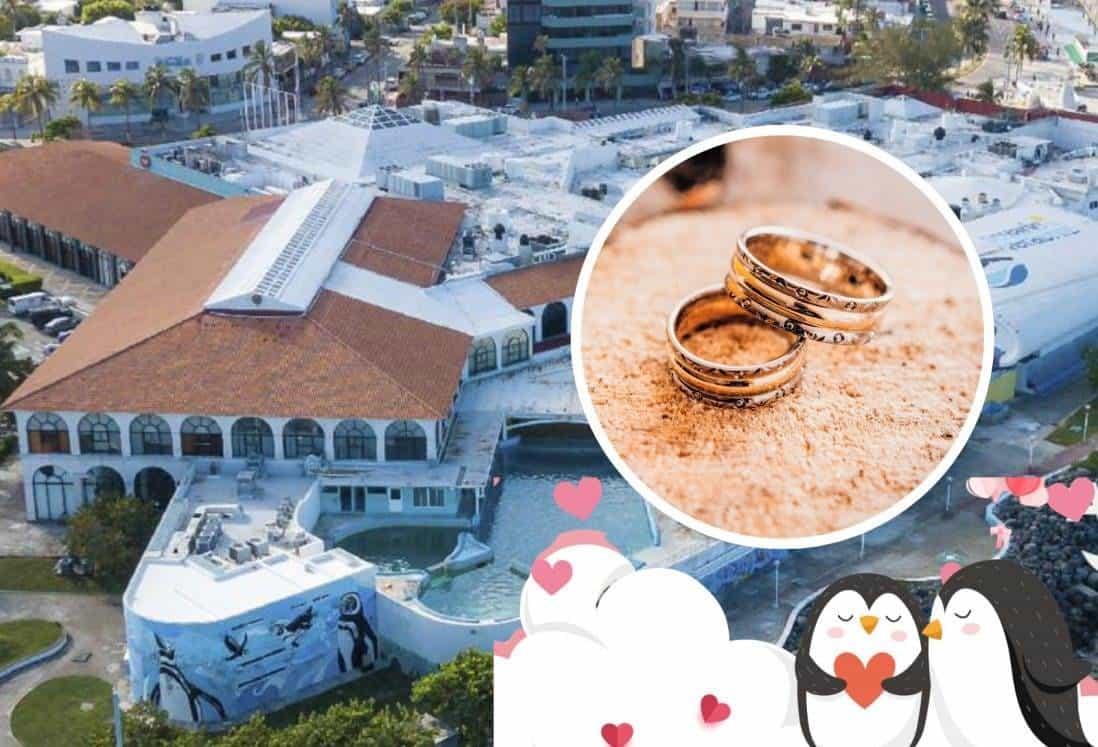Cambian sede de bodas colectivas del acuario de Veracruz por condiciones climáticas