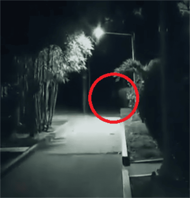 ¡De terror! Captan supuesto fantasma en la UV Coatzacoalcos (+ VIDEO)