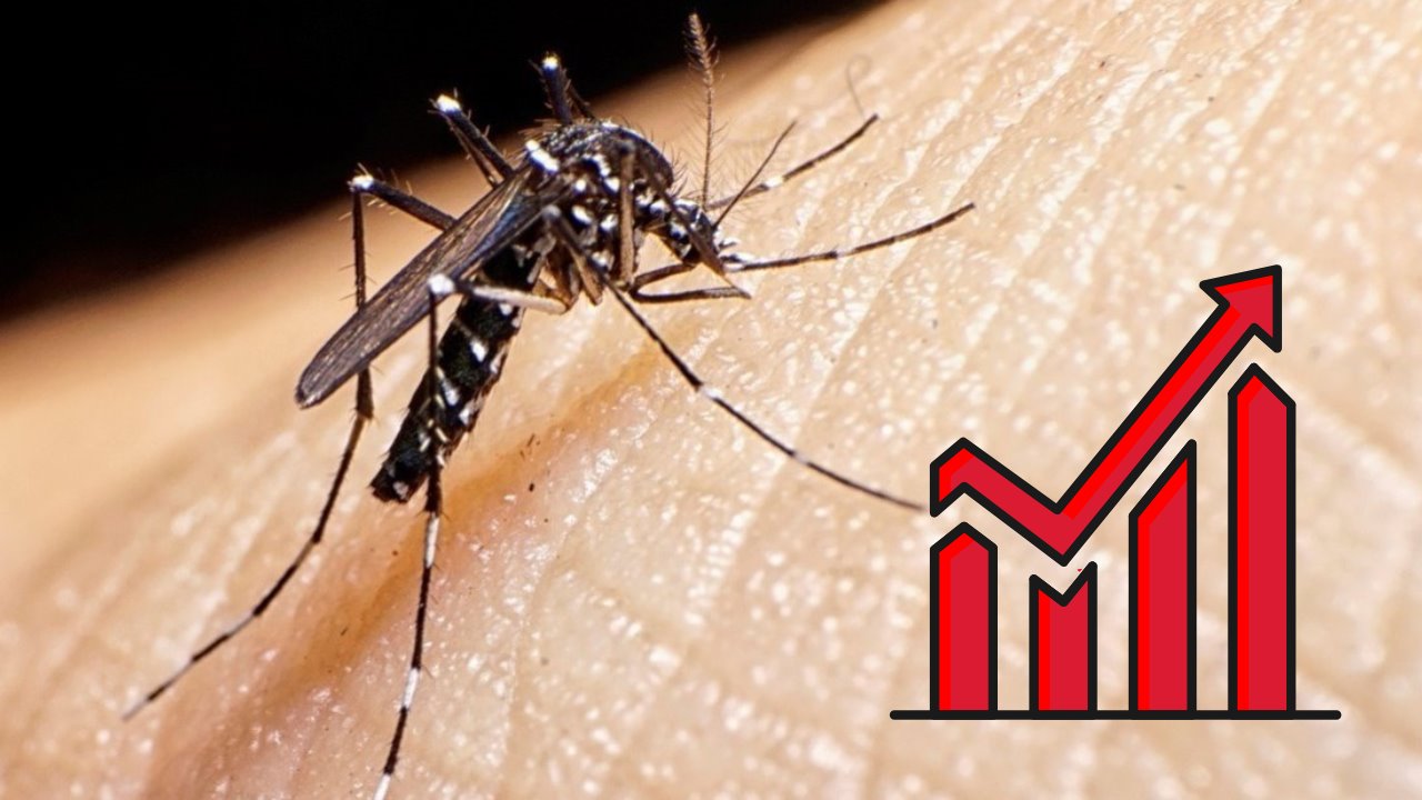 Veracruz registra 258 casos de dengue en lo que va del 2024, el triple que el año pasado