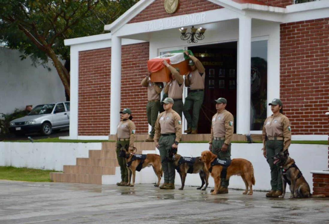 Elemento canino de Veracruz pierde la vida cumpliendo con su deber