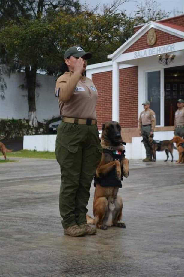 Despiden con honores a Gadafy Junior, agente canino de la agrupación K9 de Fuerza Civil