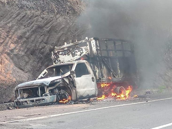 Camioneta de 3.5 toneladas queda hecha cenizas en Cotaxtla (+ Video)