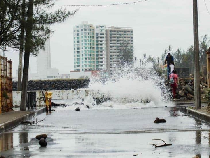 Norte en Veracruz provoca caída de árboles y postes en Boca del Río