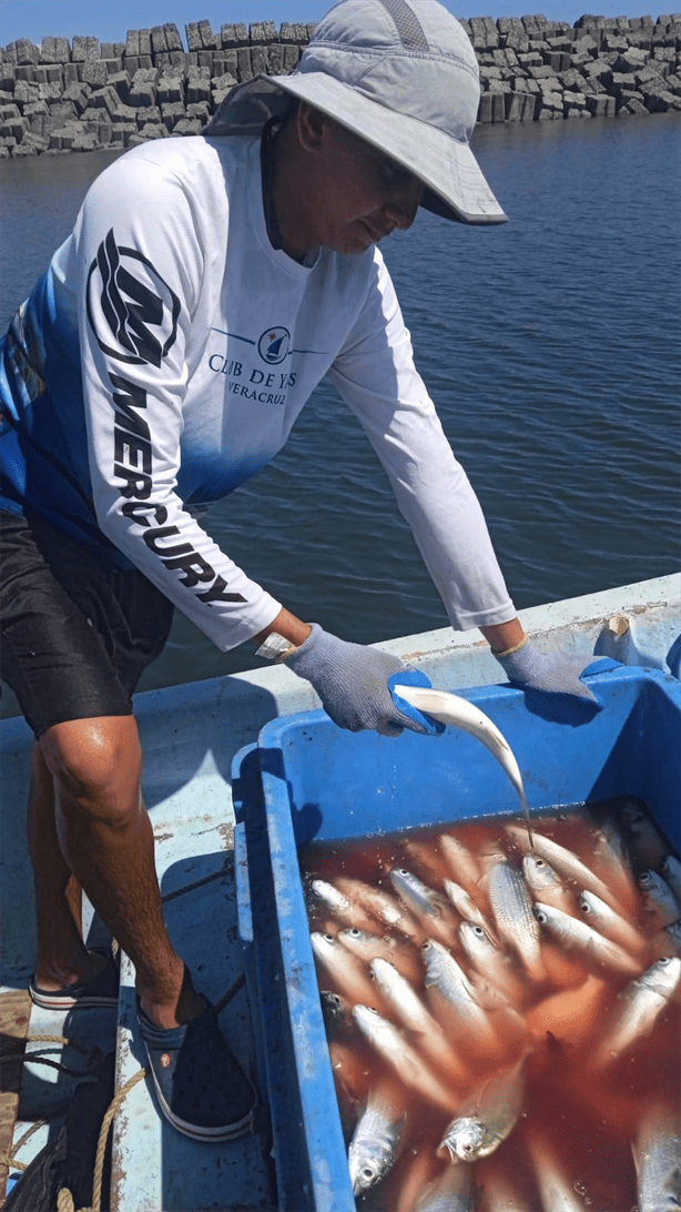 Pescadores de Veracruz señalan baja recuperación en la captura de especies