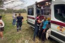 Familia atacada por enjambre de abejas en Tierra Blanca