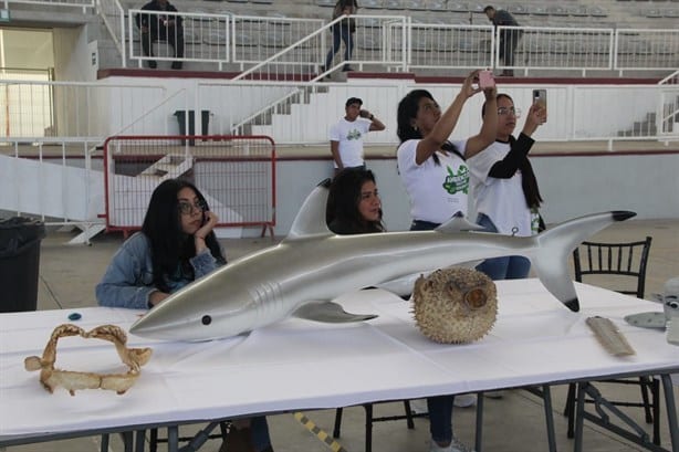 Inicia el Ambientón Festival Ecológico 2024 en Veracruz