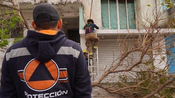 Norte en Veracruz provoca caída de árboles y postes en Boca del Río