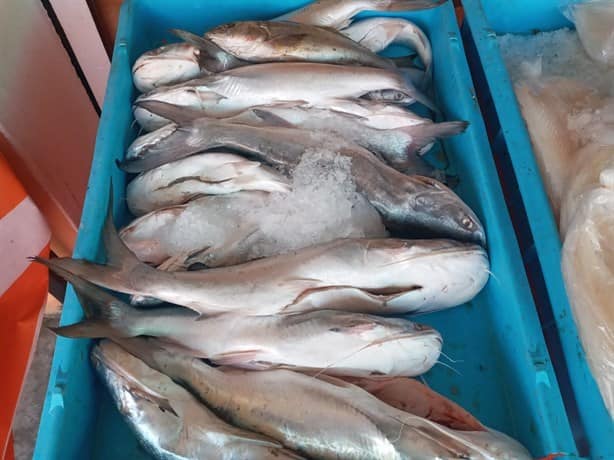 Cuaresma no ha repuntado ventas de mariscos y pescados en la Plaza del Mar