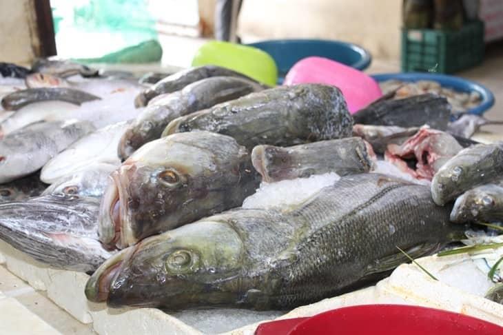 En Misantla, advierten sobre el consumo de mariscos en época de Cuaresma