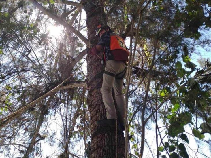 Rescatistas de Xalapa buscan recaudar fondos para comprar equipo; piden apoyo de población