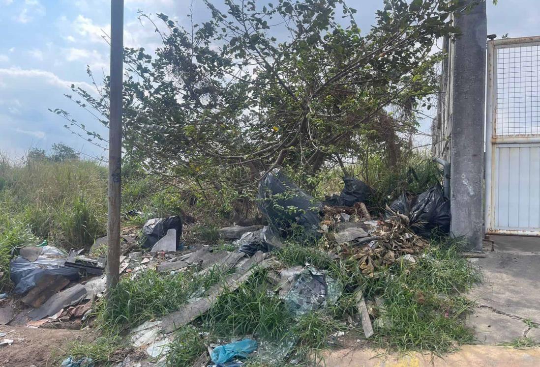 Convierten en basurero el bulevar del fraccionamiento Palma Real, en Veracruz