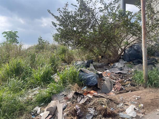 Convierten en basurero el bulevar del fraccionamiento Palma Real, en Veracruz