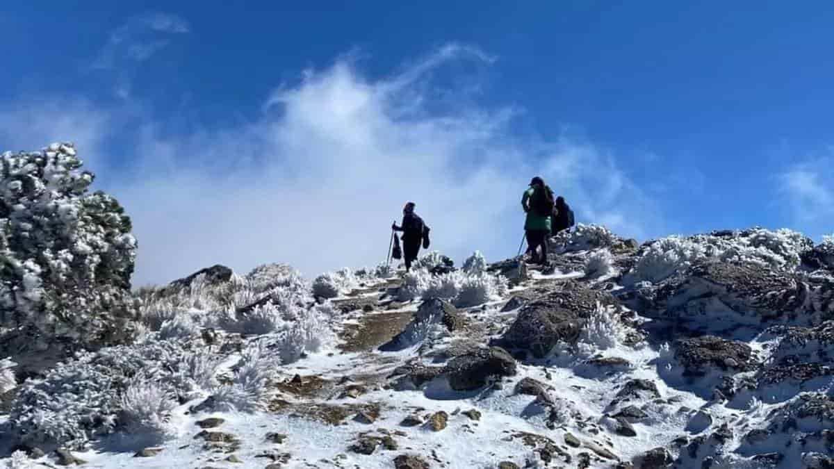 Desaparecidos en el Pico de Orizaba: así va la búsqueda del último alpinista
