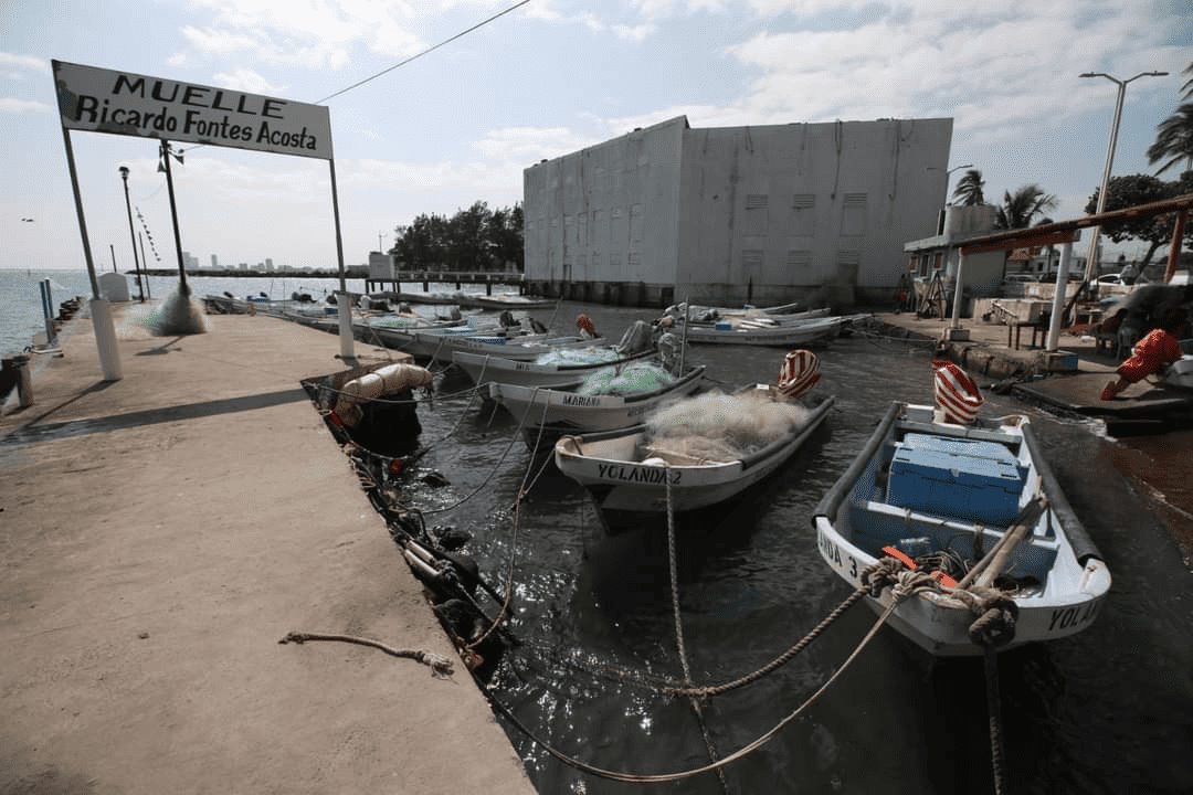 Pescadores de Veracruz piden modificar la veda de especies marinas