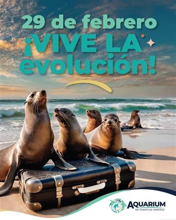 ¿Cuándo será la inauguración del Lobario en el acuario de Veracruz?
