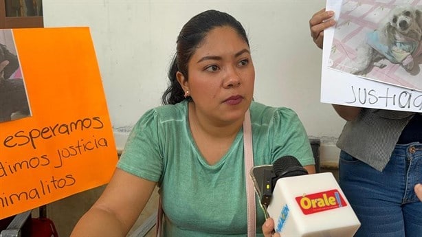 Exigen justicia para Dolly, perrita atropellada en colonia de Veracruz | VIDEO
