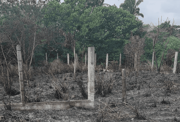 Grupo MAS levantará denuncia por incendio en predio cercano a obra de acueducto del río Cotaxtla