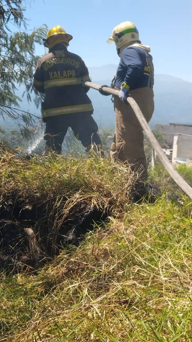 Incendio de pastizal causa alarma en colonia de Xalapa