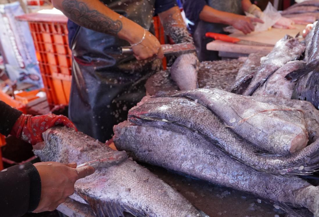 Así están los precios de pescados y mariscos en Veracruz previo a Semana Santa